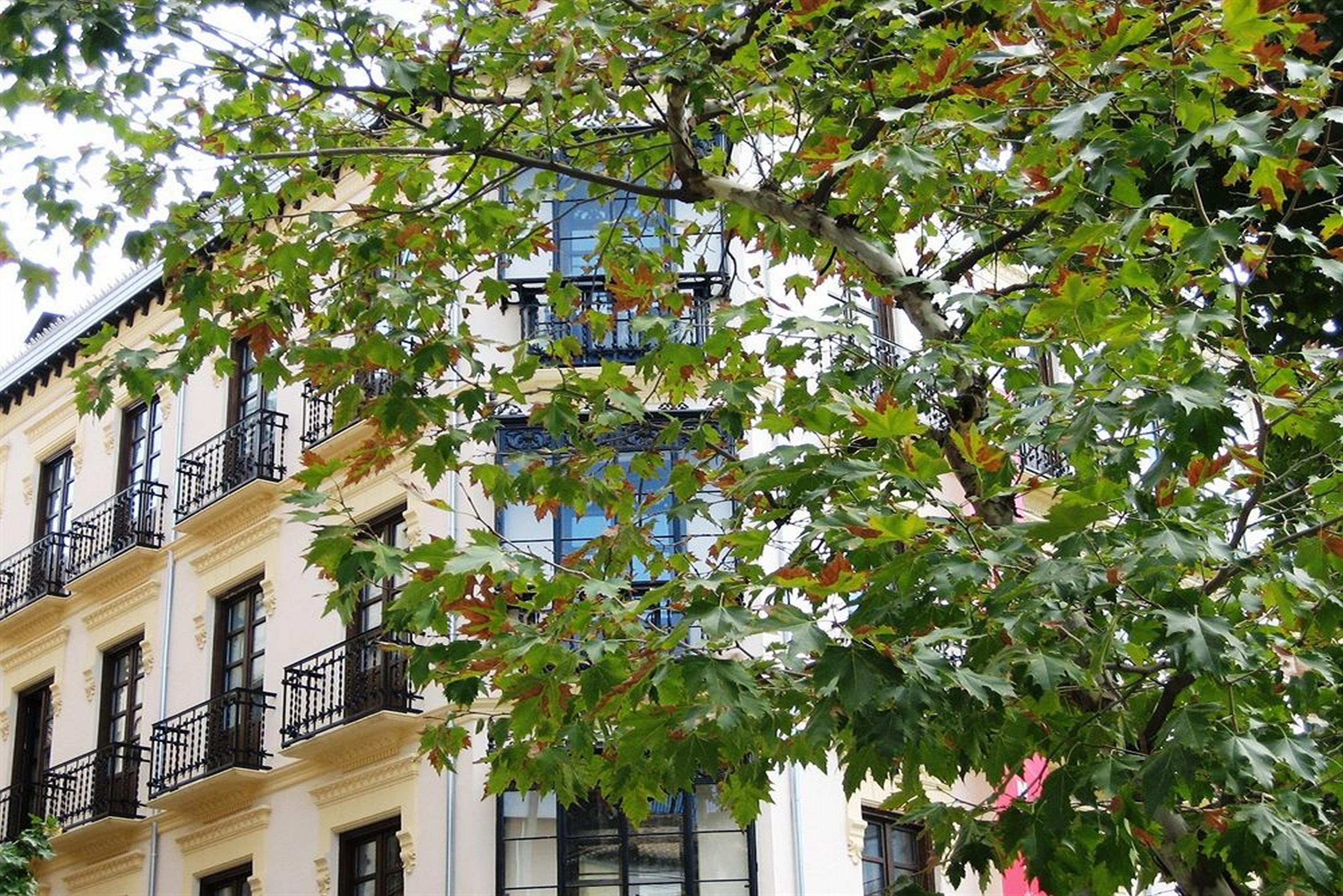 La Casa De La Trinidad Hotel Granada Luaran gambar